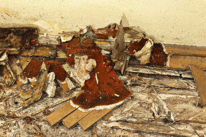 Wood Rot Repair Solutions For Outdoor Structures